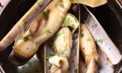 マテ貝のココット蒸し|魚河岸バル 築地TAMATOMI